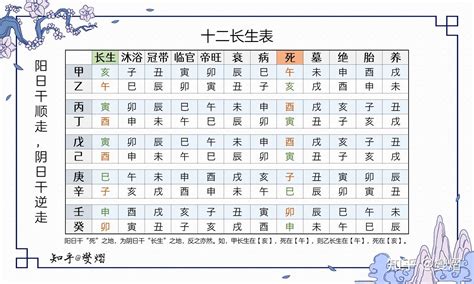 長生十二式|長生十二式與關竅的融合 (上) 鄒賢璋